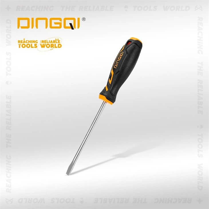 Fèmen Dwat Phillips Cross Tourvis