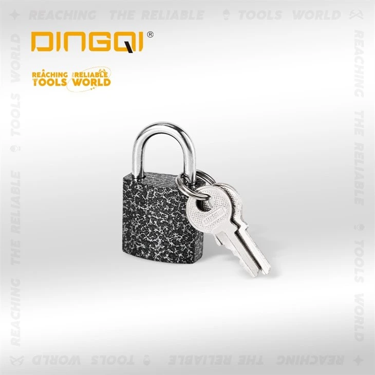Sekirite Iron Padlock